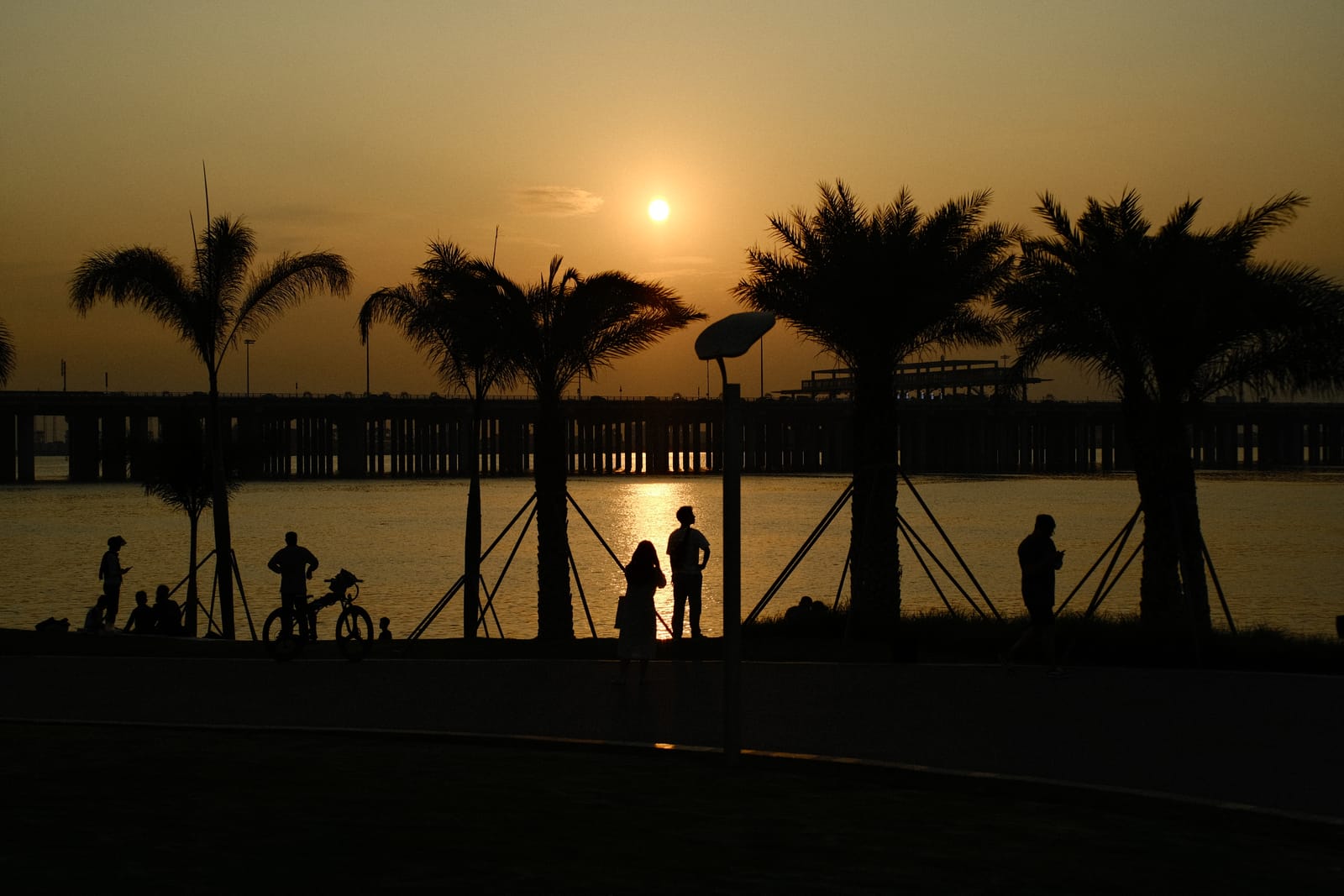 2021 年度摄影精选，第 12 张