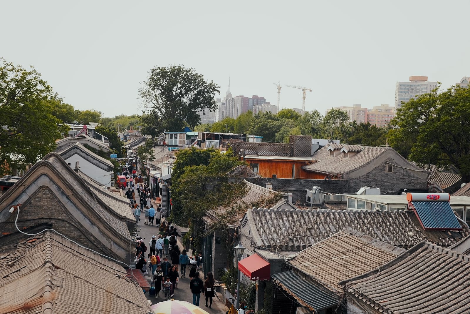2021 年度摄影精选，第 14 张