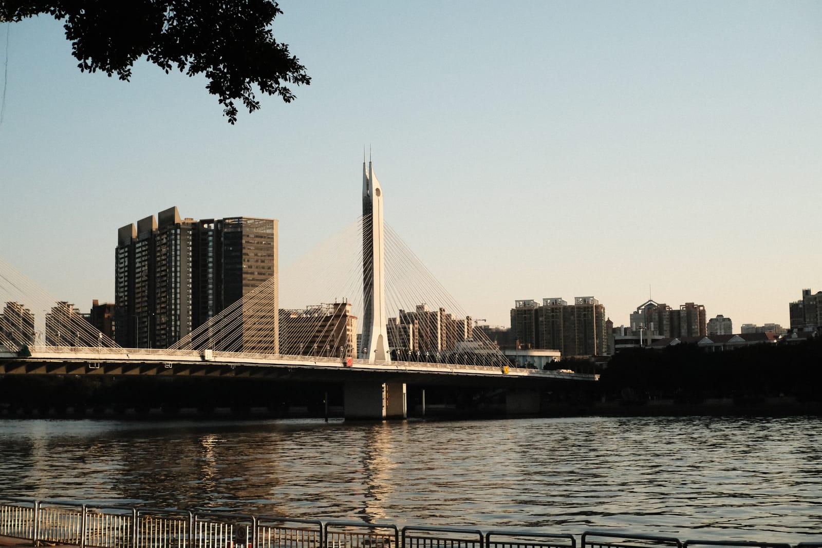 2022 年度摄影精选，第 1 张