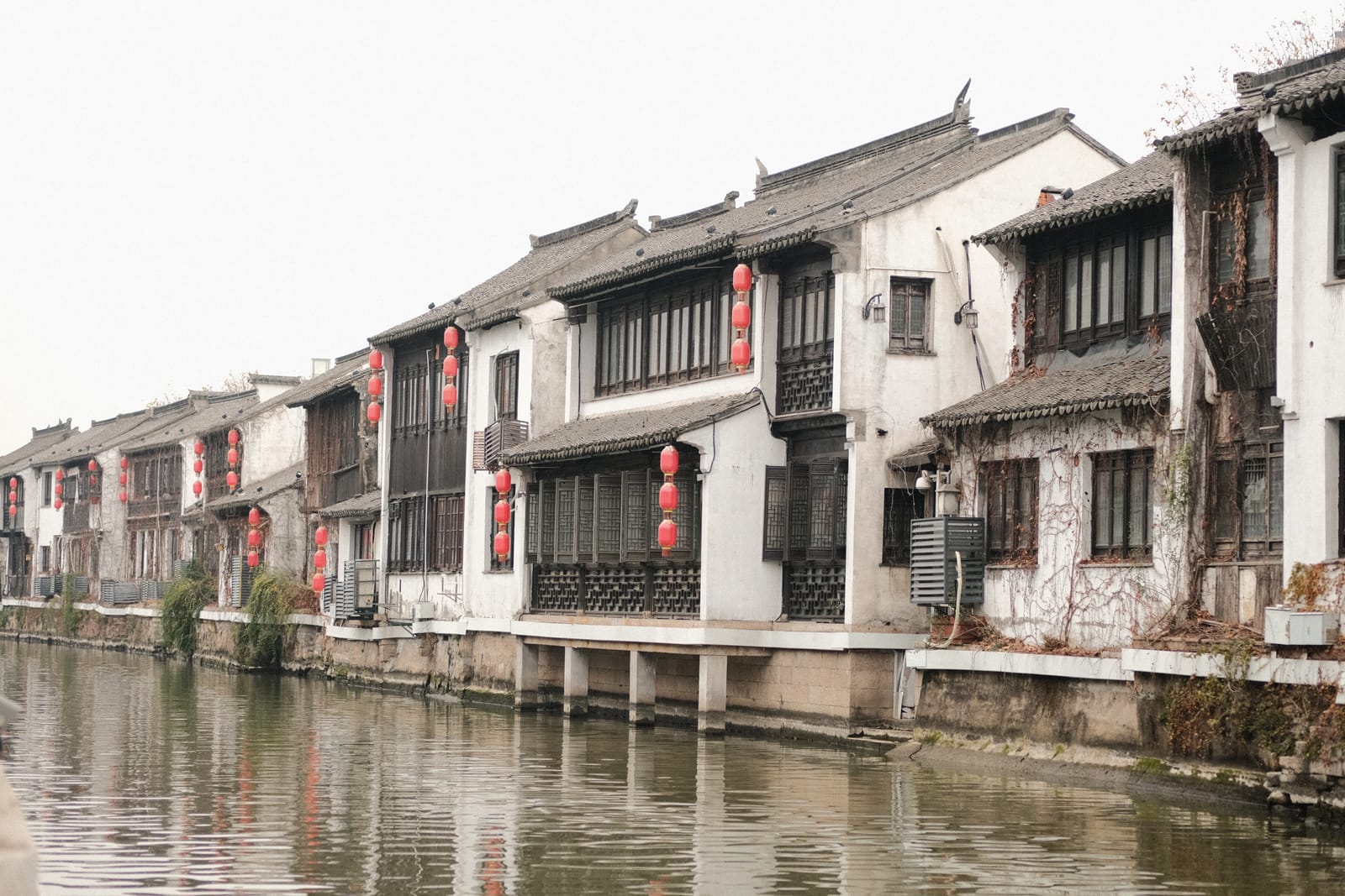 2023 年度摄影精选，第 6 张