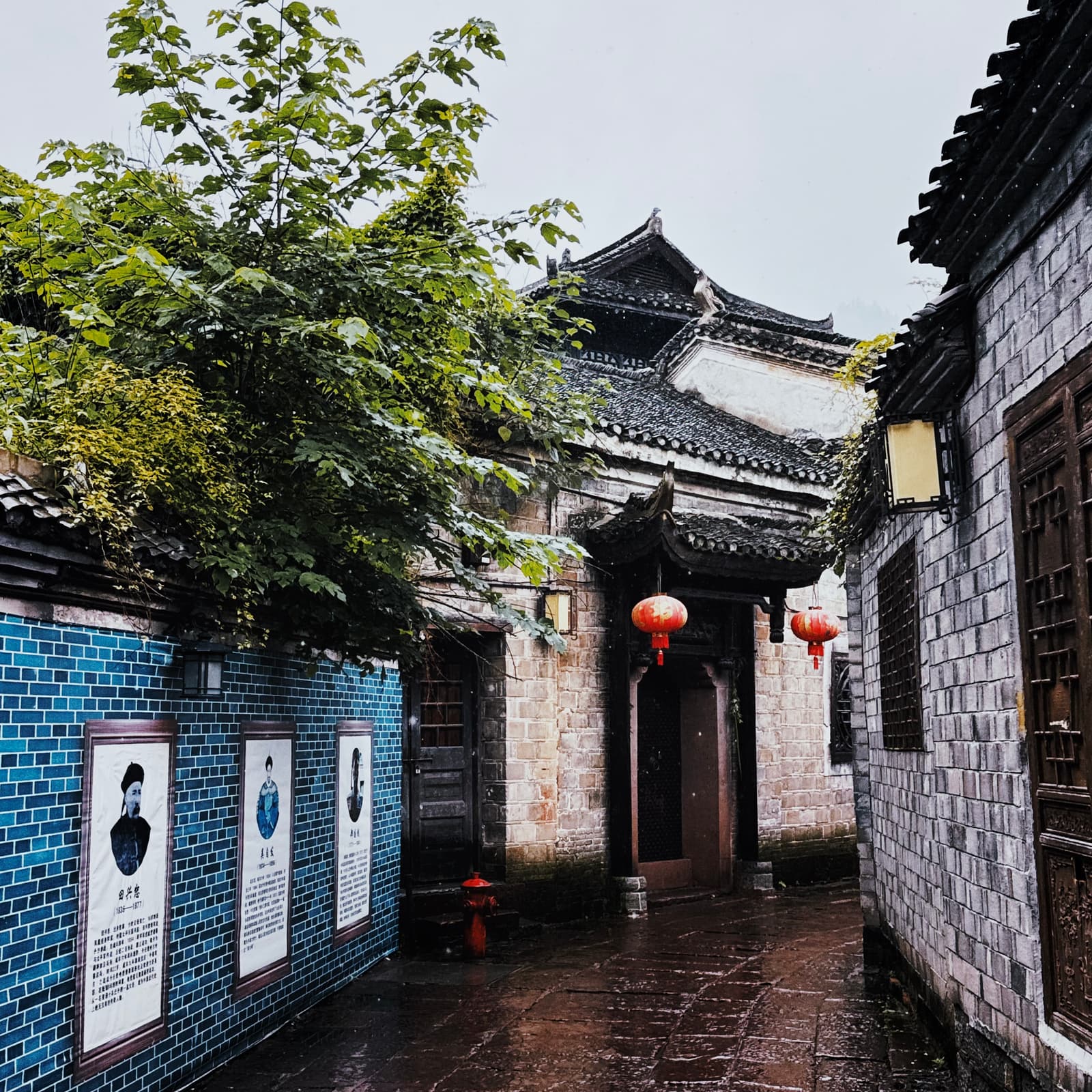 2024 年度摄影精选，第 13 张